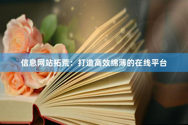 信息网站拓荒：打造高效绵薄的在线平台